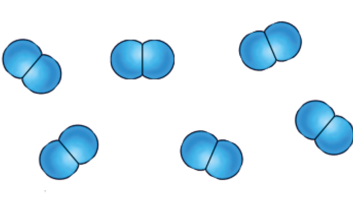 Azot Elementi Biologiya 8 (1-ci hissə)
