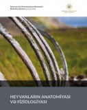 Heyvanların anatomiyası və fiziologiyası