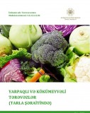 Yarpaqlı və kökümeyvəli tərəvəzlər (tarla şəraitində)