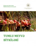 Tumlu meyvə bitkiləri