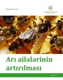 Arı ailələrinin artırılması