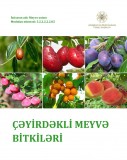 Çəyirdəkli meyvə bitkiləri