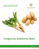Cərgəarası bitkilərin əkini